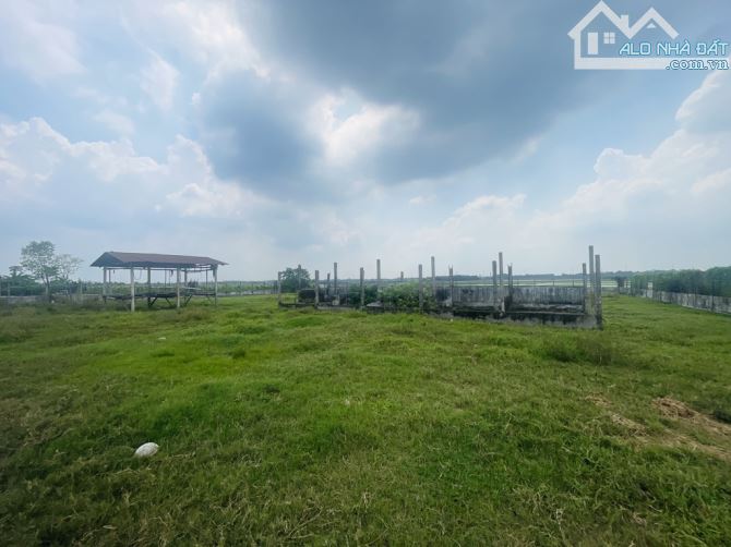 Cần Bán QSDĐ 4700m2 Đất MT  Kênh An Hạ, Tân Thới Nhì Hóc Môn - 27  Tỷ - 1