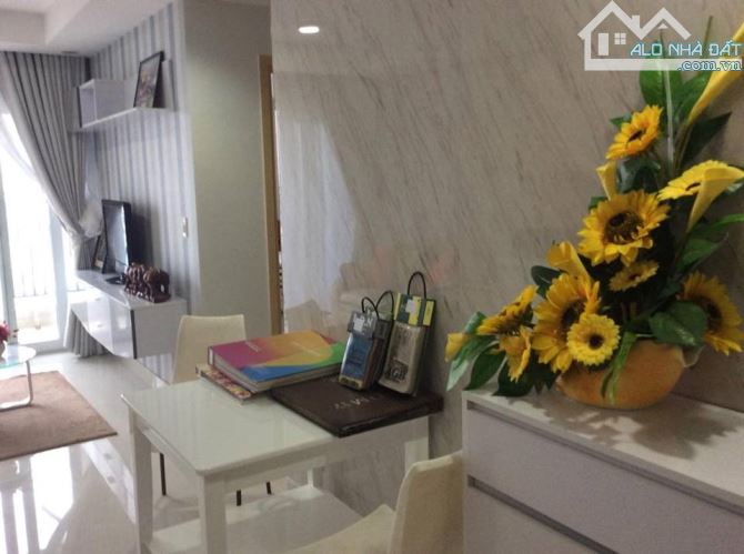 Hàng hiếm! Giỏ hàng căn hộ chung cư rẻ nhất khu vực quận 11-Tân Bình chỉ từ 2.2 tỷ/2pn - 2