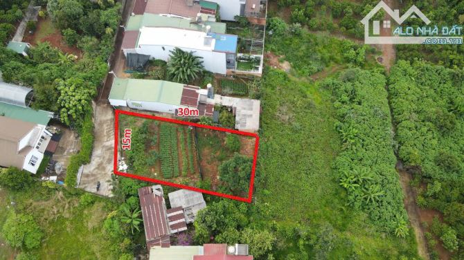 Bán đất 500m2 hẻm 99 Lý Chính Thắng trung tâm p2 tp Bảo Lộc - 3