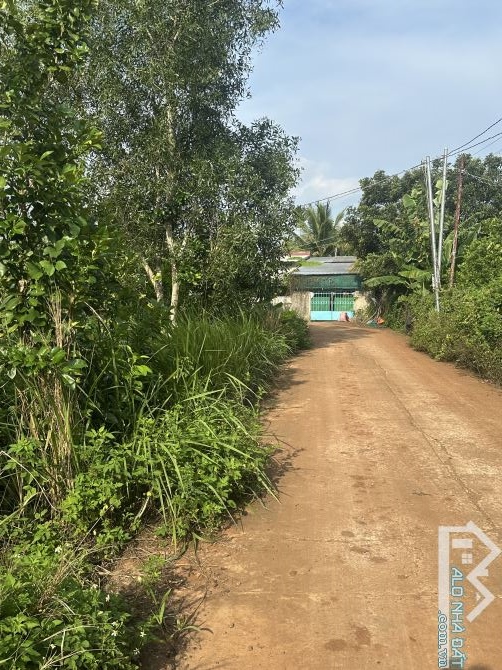 Bán lô đất vườn 1000m2 3 mặt tiền - trên đất trồng ít trái cây giá rẻ - 3