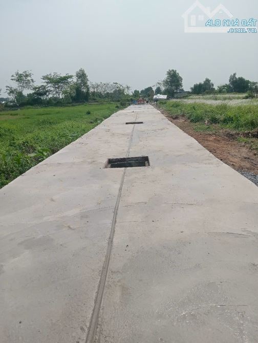 Bình Mỹ gần cầu Rạch Tra đất thổ cư sổ riêng giá 1,8 tỷ DT 5x20 - 3