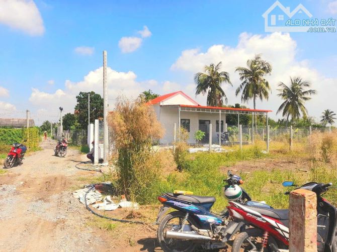 Siêu phẩm, 605m2 đất vườn View Sông Nhựt Tảo chỉ 590tr - 3