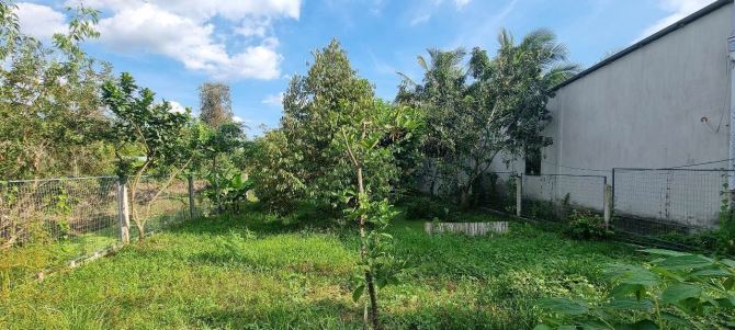 Bán nhà vườn cặp sông Cái Răng Bé (song song trương vĩnh nguyên)Phú Thứ, Q. Cái Răng - 3