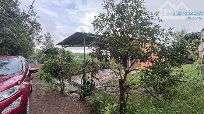 kẹt tiền bán gấp 320m2 nhà đất dương minh châu 800triệu - 4