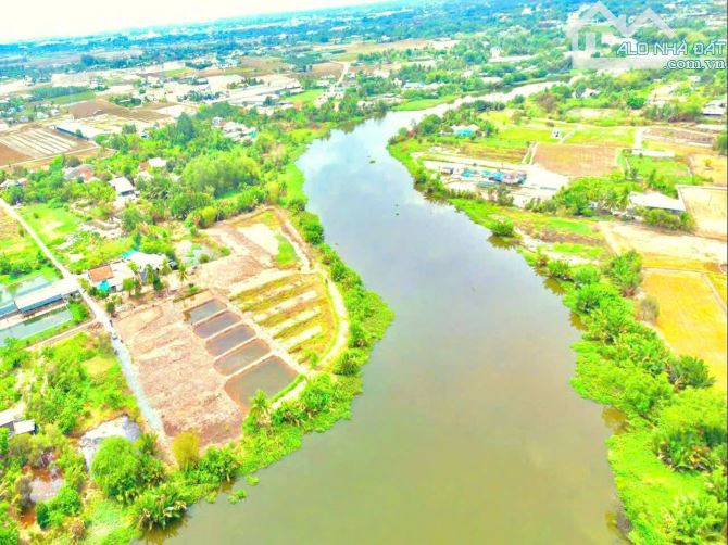Siêu phẩm, 605m2 đất vườn View Sông Nhựt Tảo chỉ 590tr - 5