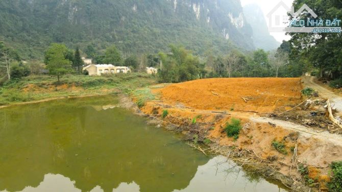 Cần bán đất Tân Vinh, Lương Sơn, Hoà Bình 2995m2 View siêu đẹp - 5