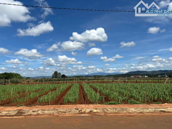BÁN ĐẤT THỔ CƯ, GẦN SÂN BAY QUỐC TẾ THUỘC VÙNG VEN ĐÀ LẠT, 130M2, GIÁ CHỈ 950 TRIỆU - 6