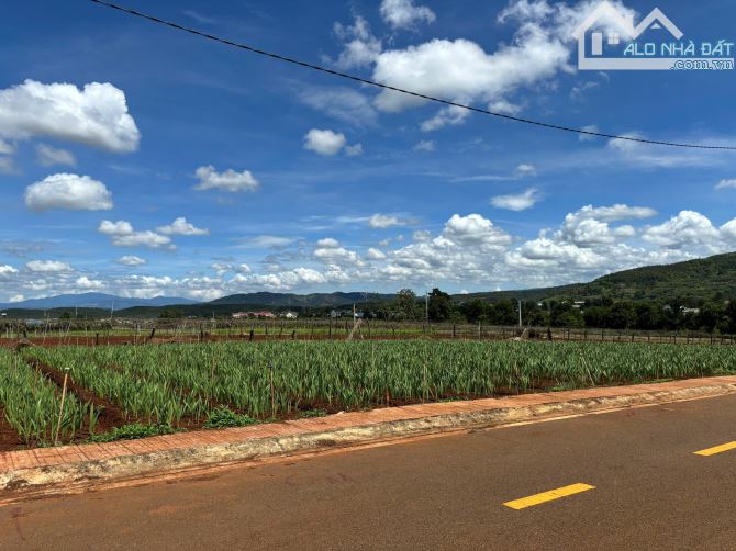 BÁN ĐẤT THỔ CƯ, GẦN SÂN BAY QUỐC TẾ THUỘC VÙNG VEN ĐÀ LẠT, 130M2, GIÁ CHỈ 950 TRIỆU - 7