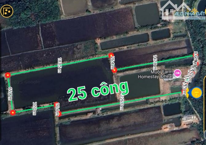 Đầu Tư Đất Vườn 25 Công – Có Bán Lẻ – Gần QL53 – Kim Hòa, Cầu Ngang, Trà Vinh - 7