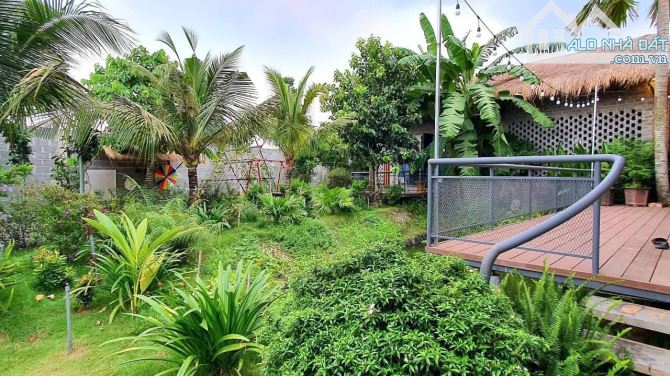 Bán Nhà Vườn Ngang 21M x 34M Mặt Tiền đườg Long Chiến - Xã Bình Lợi - H.Vĩnh Cửu- Đồng Nai - 7