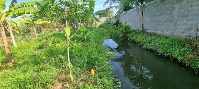 Bán nhà vườn cặp sông Cái Răng Bé (song song trương vĩnh nguyên)Phú Thứ, Q. Cái Răng - 8