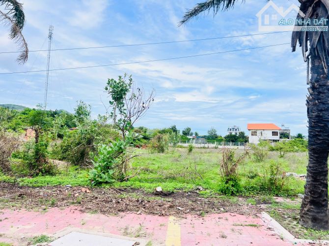 Cách bãi tắm Long Hải 1,5km 6x28m sẵn 73tc giá chỉ 3tỷ500 - 8