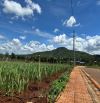 Đất nền gần sân bay Liên Khương, giá cực tốt cho nhà đầu tư - VỊ TRÍ CỰC HIẾM