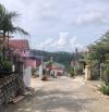 BÁN ĐẤT ĐẸP – VIEW RỪNG THÔNG – NGAY TRUNG TÂM ĐÀ LẠT