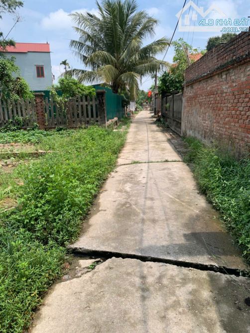 Bán đất ở xã An Bình Thuận Thành  BN