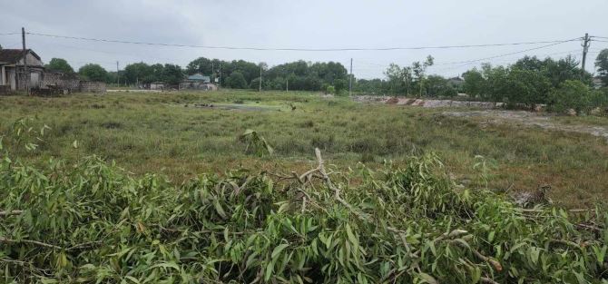 Đất Biển Trung Giang Gio hải Quảng Trị giá chỉ từ 3xx triệu