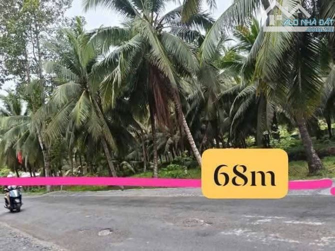 Bán gần 2 công đất vườn dừa mặt tiền đường nhựa hưng nhượng