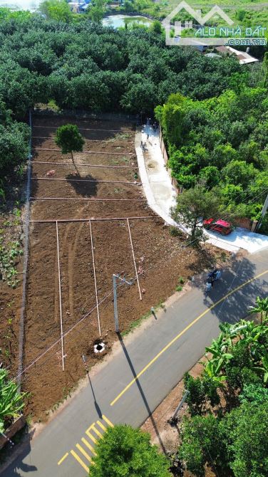 Bán 100m2 đất sổ riêng Sông Trầu, Trảng Bom, Đồng Nai, 600 triệu.