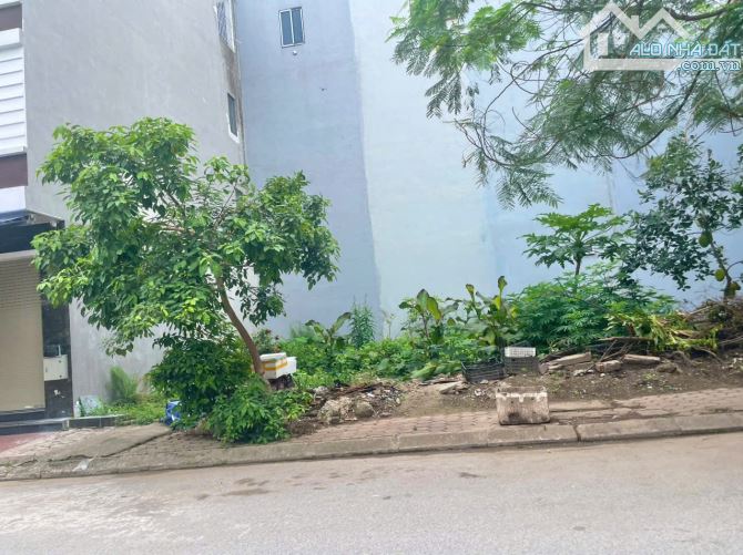 🔥🔥 Lô  Đông Nam 50m2 rẻ nhất tđc Xi Măng, Sở Dầu, Hồng Bàng - Giá chỉ 3,55 tỷ