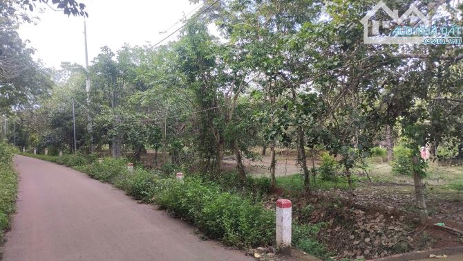 Đất đẹp Đá Bạc – 6 sào, sổ riêng, khu dân cư, chỉ 7 tỷ, đầu tư sinh lời cao