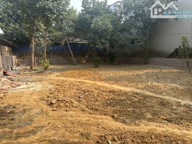 ĐẤT TÂN MINH - SÓC SƠN,  NGÕ THÔNG Ô TÔ 7 CHỖ ĐỖ CỬA, KHỔ ĐẤT ĐẸP DỄ XÂY NHÀ, 3 BƯỚC CHÂN