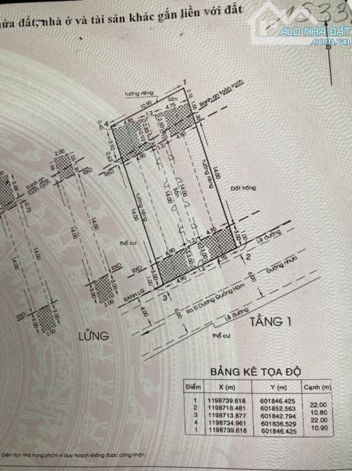 Bán khu VIP Dương quảng hàm. Dt : 11x22m P6