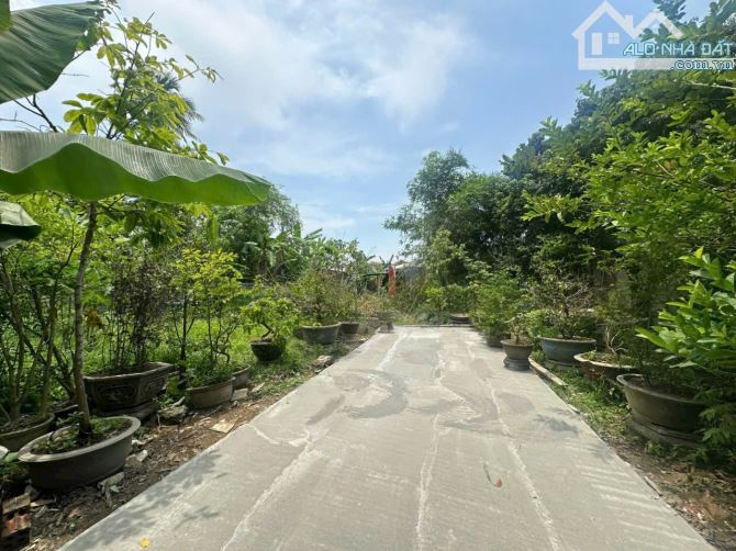 🎯🎯ĐẤT KIỆT OTO 292 NGUYỄN SINH CUNG, PHƯỜNG VỸ DẠ, TP HUẾ