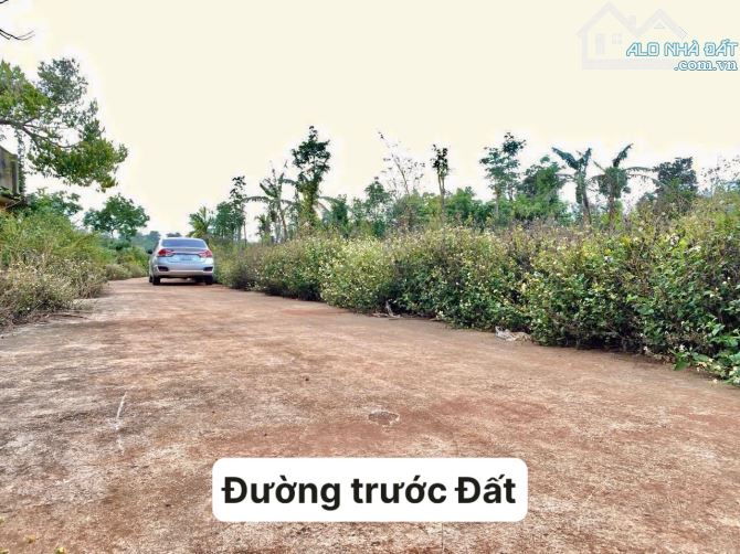 ✨ 850M2 thực tế hơn 1 SÀO, VIEW HỒ VIỆT ĐỨC 4, Ngang 14.5M (có sẵn 200M2 THỔ CƯ) - 1,05 TỶ