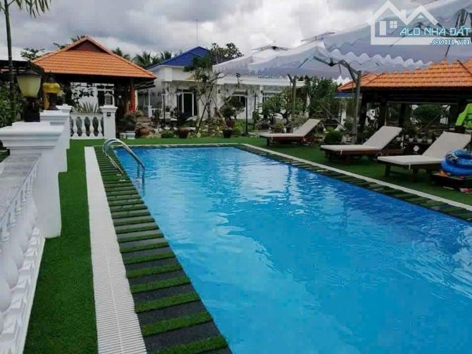 Bán biệt thự sân vườn 1 mẫu đất đường nhựa tân thành bình - 11