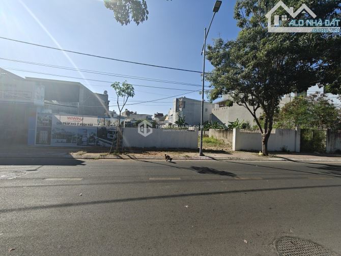 CHUYỂN NHƯƠNG LÔ ĐẤT MẶT TIỀN HƠN 1000M2 ĐƯỜNG NGUYỄN THỊ MINH KHAI, PHƯỜNG 8, VŨNG TÀU - 2