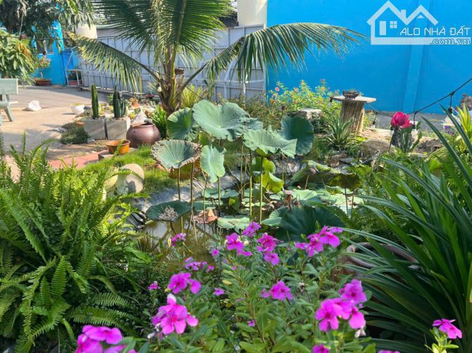 Bán nhà xưởng 8500m2 sổ riêng full skc tại Thuận An, Bình Dương. Giá 100 tỷ thương lượng. - 1