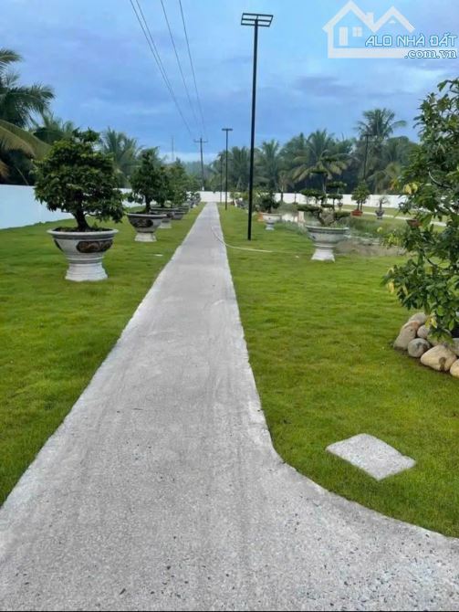 Bán biệt thự sân vườn 1 mẫu đất đường nhựa tân thành bình - 1