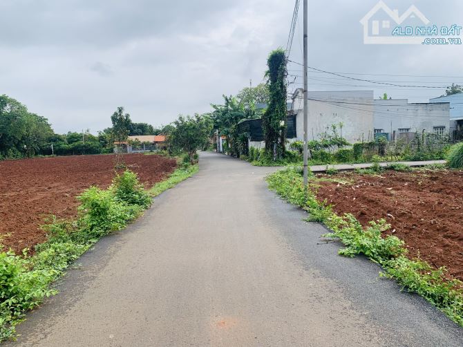Bán Đất Đường Số 10B Hoà Long. Tp Bà Rịa - 1
