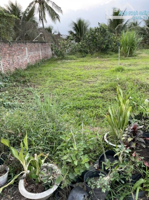 Bán 120m2 Đất Full Thổ Cư Đường xe Ô tô Ra Vào Hẻm Thông, Ấp Mỹ Hòa ,Xã Mỹ Phong ,Tp Mỹ  T - 1
