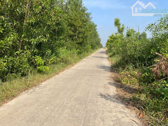17200m2 đất vườn xã Tân Hòa, Bến Lức , Long An giá 24,1 tỷ - 1