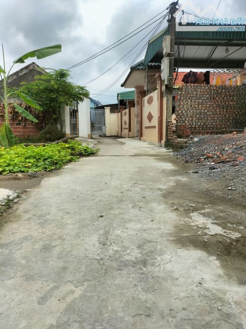 Bán 72,8m2 đất trung tâm phường Hoàng Lâm - 1