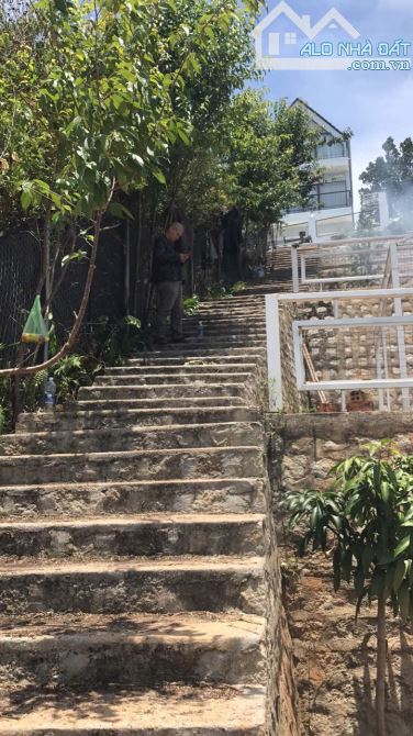 Cần bán 3000m2 đất View rừng Thông bạt ngàn tại Hoàng Hoa Thám phường 10 Đà Lạt - 1