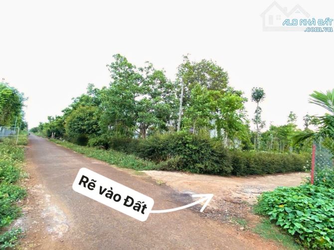 ✨ 850M2 thực tế hơn 1 SÀO, VIEW HỒ VIỆT ĐỨC 4, Ngang 14.5M (có sẵn 200M2 THỔ CƯ) - 1,05 TỶ - 1