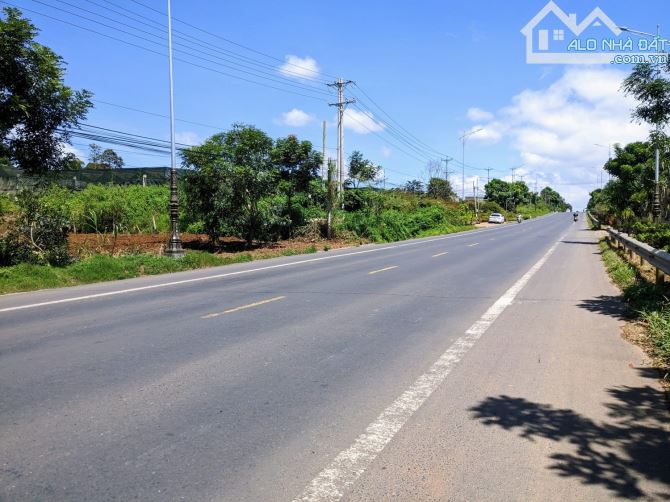 Bán gấp lô đất THANH AN HỚN QUẢN ,DT 250M2, GIÁ 250 TRIỆU, SỔ HỒNG RIÊNG - 1