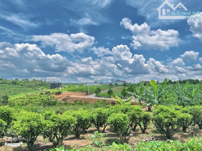 ✨ Ngang 10M x Dài 30M (100M2 ONT) ngay khu cối xay gió, đường chuẩn bị trải Nhựa - 1,05 TỶ - 1