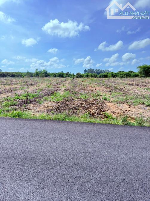 Cần bán 10.866m2 đất phủ hồng, mặt tiền nhựa đến71m, trong khu dân cư hiện hữu Phước Tân - 1