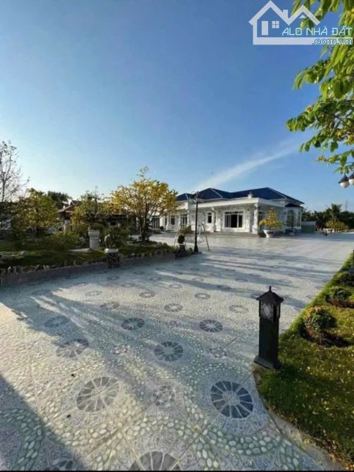 Bán biệt thự sân vườn 1 mẫu đất đường nhựa tân thành bình - 12