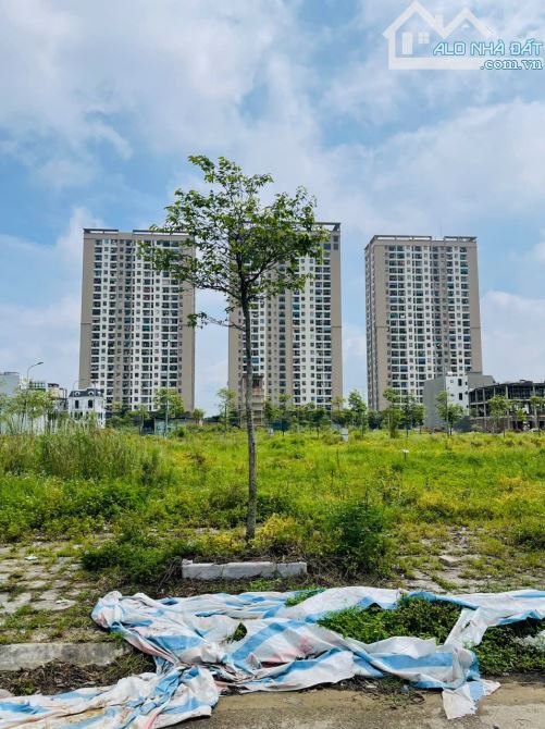 đất đông hương mặt bằng 3208 hàng ngoại giao 2025 - 7