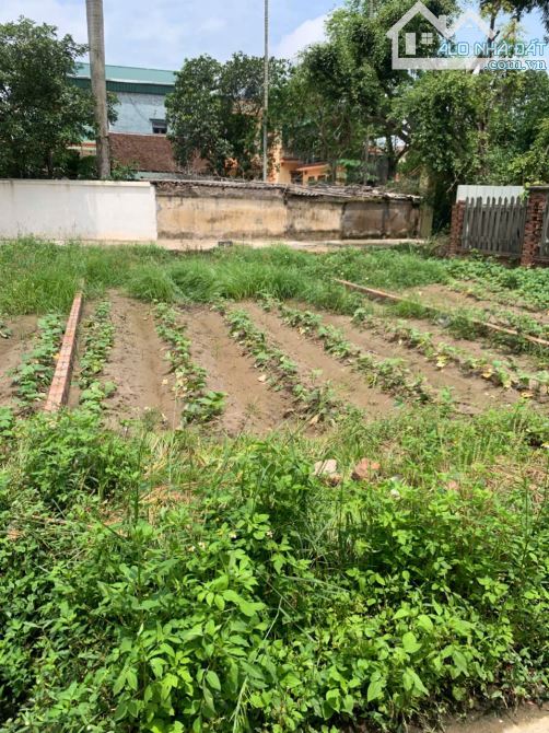 Bán đất ở xã An Bình Thuận Thành  BN - 2