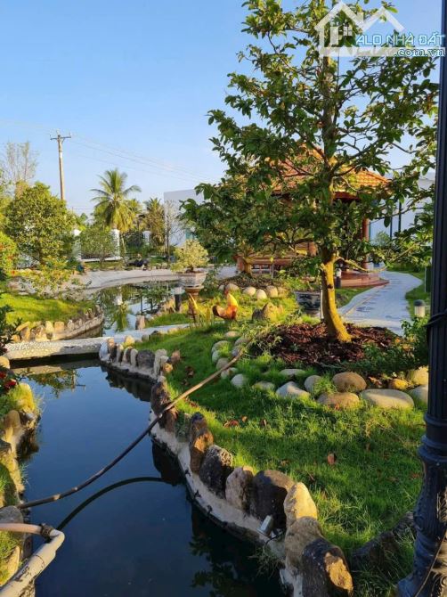 Bán biệt thự sân vườn 1 mẫu đất đường nhựa tân thành bình - 2