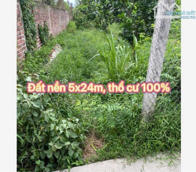 Bán 120m2 Đất Full Thổ Cư Đường xe Ô tô Ra Vào Hẻm Thông, Ấp Mỹ Hòa ,Xã Mỹ Phong ,Tp Mỹ  T - 2