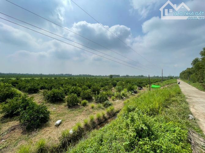 17200m2 đất vườn xã Tân Hòa, Bến Lức , Long An giá 24,1 tỷ - 2