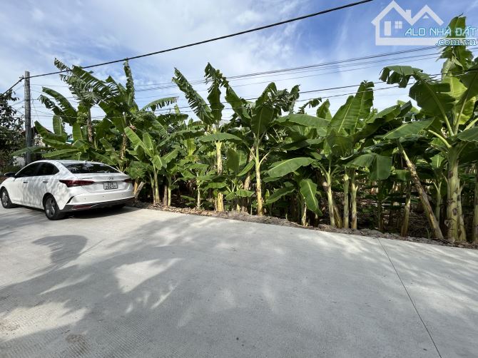 ✅ Bán 2 lô đất thổ đường 5m thuộc Ấp 4 , Bình Tâm , TP Tân An _ Diện Tích : 5.7 x 35m2 - 2