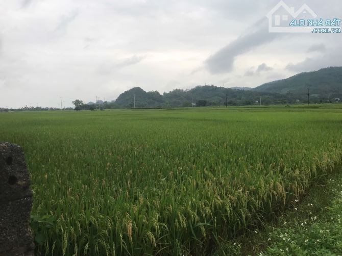 Gia đình cần bán 700m trục chính gò mè- Cư yên-Lương Sơn - 2