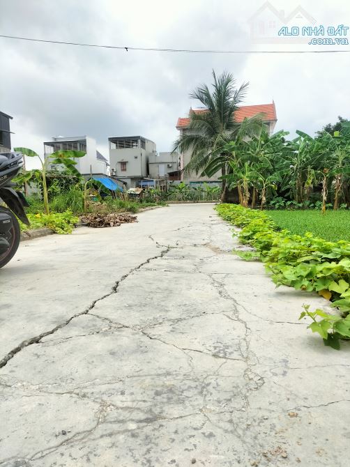 Bán 72,8m2 đất trung tâm phường Hoàng Lâm - 2